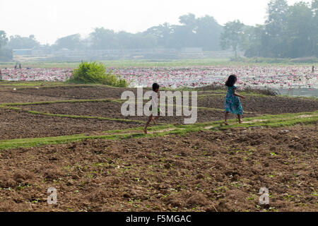 Dhaka, Bangladesh. 6 novembre, 2015, 06 novembre 2015. Près des trois-quarts de la population vivent dans les zones rurales. Les familles dans les régions rurales du Bangladesh comptent principalement sur l'agriculture et de la pêche pour la volaille,leur revenu quotidien. Au Sommet mondial sur le développement durable 25 septembre 2015, les États membres de l'ONU adoptera l'ordre du jour de 2030 pour le développement durable, qui comprend un ensemble de 17 objectifs de développement durable (ODD) pour mettre fin à la pauvreté, lutter contre les inégalités et l'injustice, et de lutter contre le changement climatique en 2030. Zakir Hossain Chowdhury Crédit : zakir/Alamy Live News Banque D'Images