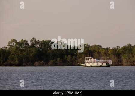 Bateau de tourisme dans le parc national des Sundarbans, West Bengal, India Banque D'Images