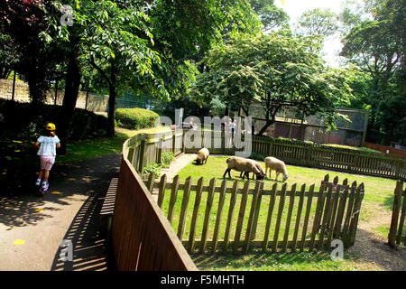 Animaux domestiques corner, Jesmond Dene Banque D'Images