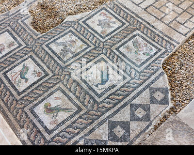 Détail de mosaïque dans la Villa des oiseaux à l'Est de l'époque romaine Site Odeum à Kom el Dikka Alexandria, côte nord de l'Égypte Banque D'Images