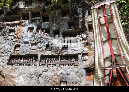 Figurines en bois mieux connu sous le nom de Tao Tao parmi les peuples de la culture de Tana Toraja de Sulawesi contenues à l'intérieur d'une falaise, la vue unique et rare Banque D'Images