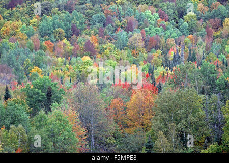 Feuillage d'automne de la rivière Androscoggin au New Hampshire Comté Coos New England USA Banque D'Images