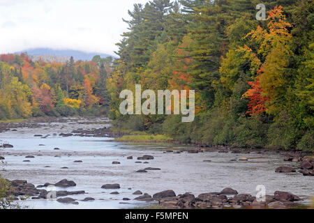 Feuillage d'automne de la rivière Androscoggin au New Hampshire Comté Coos New England USA Banque D'Images