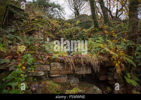 Rivington, jardins en terrasses près de Chorley, Horwich, Blackburn, Darwen, Belmont en automne Banque D'Images