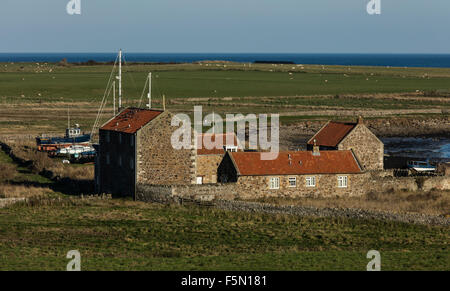 Maisons de village de pêcheurs sur l'île sacrée près de Château de Lindisfarne à Northumberland Banque D'Images