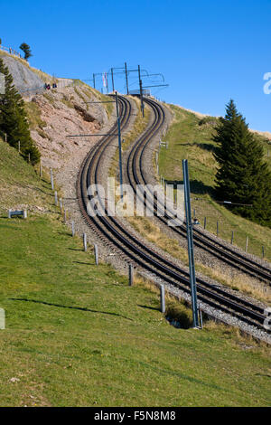 Voie ferrée à la Rigi dans les Alpes suisses Banque D'Images