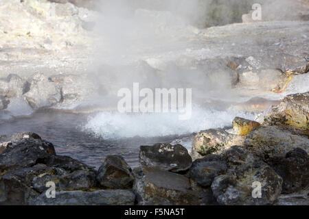 De nombreux geysers, fumerolles et sources chaudes-dispersés dans le village central de Furnas, São Miguel, Açores Banque D'Images