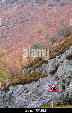 Panneau de signalisation routière Falling Rocks au barrage et réservoir Caban Coch, Elan Valley, Powys, Mid Wales, Royaume-Uni en novembre avec couleurs de feuillage d'automne Banque D'Images