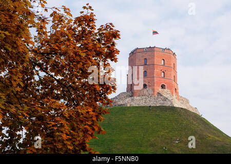 Le château de Gediminas à Vilnius (Lituanie) Banque D'Images