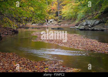 L'automne sur le milieu Patuxent River dans le comté de Howard, dans le Maryland Banque D'Images