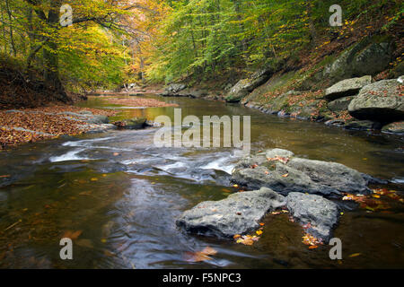 L'automne sur le milieu Patuxent River dans le comté de Howard, dans le Maryland Banque D'Images