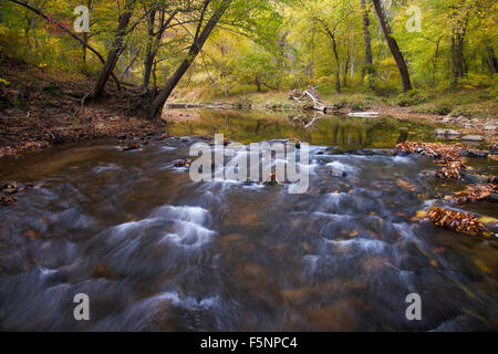 L'automne sur le milieu Patuxent River dans le comté de Howard, dans le Maryland Banque D'Images