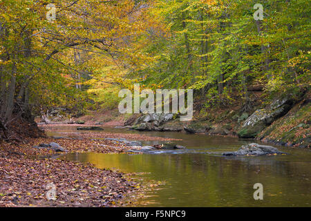 L'automne sur le milieu Patuxent River dans le comté de Howard, dans le Maryland Banque D'Images