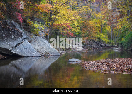 L'automne sur le milieu Patuxent River dans le comté de Howard, dans le Maryland Banque D'Images