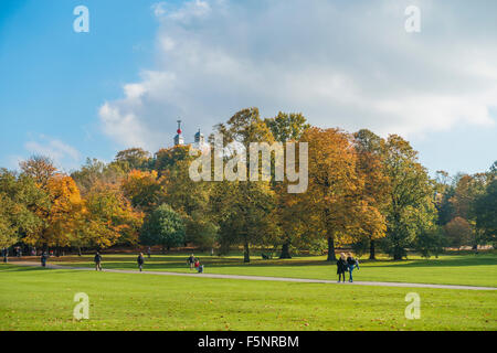 Couleurs d'automne dans le parc de Greenwich Londres Banque D'Images