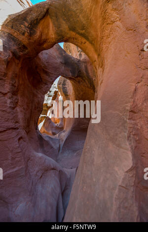 Érodée dans arches de grès rouge, étroit canyon Grand Staircase-Escalante Peekaboo Banque D'Images