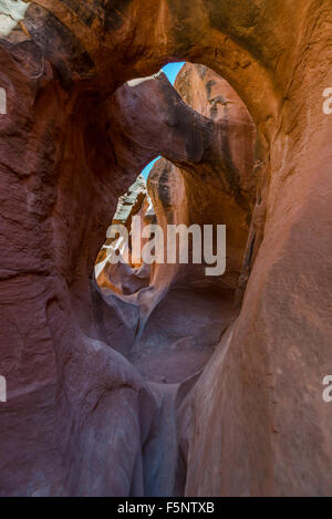 Érodée dans arches de grès rouge, étroit canyon Grand Staircase-Escalante Peekaboo Banque D'Images