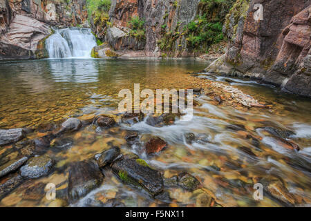 Cascade sur le ruisseau Tenderfoot dans le petit belt montagnes près de White Sulphur Springs, Montana Banque D'Images