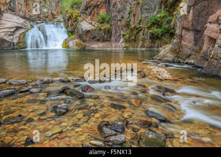 Cascade sur le ruisseau Tenderfoot dans le petit belt montagnes près de White Sulphur Springs, Montana Banque D'Images