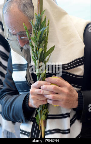 Un homme religieux tenant un & esrog loulav à Souccot matin prières dans une synagogue dans le Queens, New York Banque D'Images