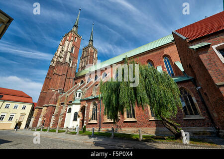 Cathédrale de Saint Jean Baptiste ou Cathédrale de Wroclaw, l'île de la cathédrale ou Ostrow Tumski, la Pologne, l'Europe Banque D'Images