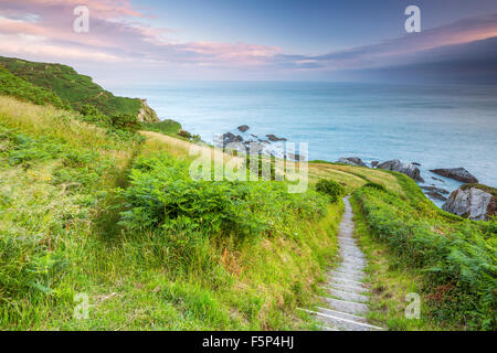 Sud Ouest Chemin coût près de Lee, North Devon, Angleterre, Royaume-Uni, Europe. Banque D'Images