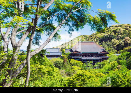 Le Temple Kiyomizu-dera entouré par une végétation verte sur une journée ensoleillée au printemps Banque D'Images