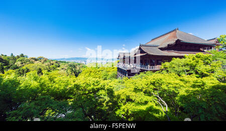 Le Temple Kiyomizu-dera entouré par une végétation verte sur une journée ensoleillée au printemps Banque D'Images