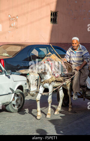 Marrakech, Maroc - 11 septembre 2015 : homme non identifié sur la rue de Marrakech, Maroc. Marrakech est la quatrième plus grande c Banque D'Images