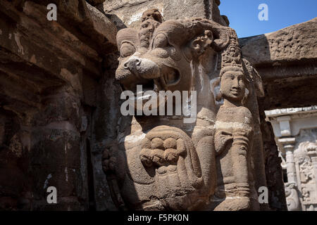 Sculpture de Lion en Kailasanathar temple (8ème siècle) Kanchipuram, Tamil Nadu, Inde, Asie Banque D'Images