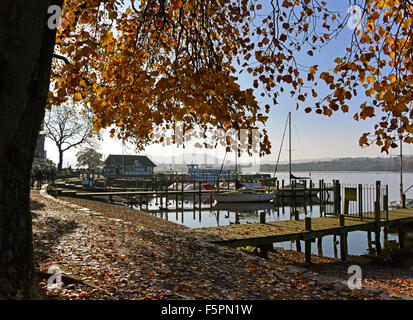 Matin d'automne. , Waterhead Ambleside, Parc National de Lake District, Cumbria, Angleterre, Royaume-Uni, Europe. Banque D'Images