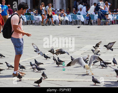 Jeune homme se nourrir les pigeons sur la Piazza San Marco avec alfresco cafe tables et chaises en arrière-plan Venise Vénétie Italie Europe Banque D'Images