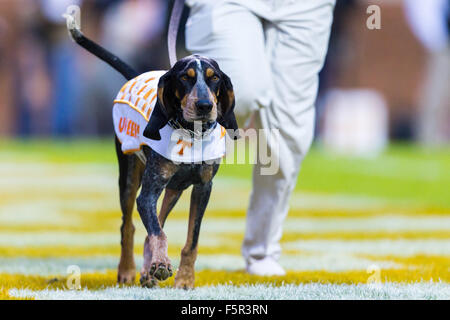 Novembre 07, 2015 : New York bénévoles mascot Smokey au cours de la NCAA Football match entre l'Université du Tennessee bénévoles et la Caroline du Sud au Stade de Neyland Gamecocks de Knoxville, TN/CSM Gangloff Tim Banque D'Images