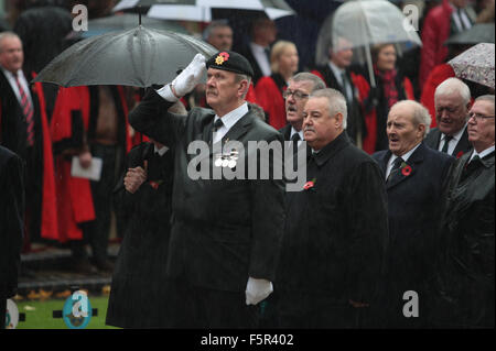 Belfast, Royaume-Uni. 8e novembre 2015. Un ancien combattant salue au cénotaphe sur la journée nationale de commémoration. Credit : Bonzo/Alamy Live News Banque D'Images