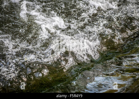 L'eau coule dans une rivière à Eynsford Village Sevenoaks Banque D'Images