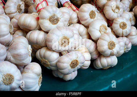 L'ail au marché provençal d'Aups, France Banque D'Images