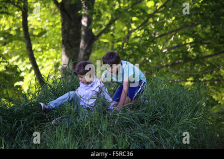 Deux frères jouant sur une colline herbeuse un soir d'été, Maine, USA Banque D'Images