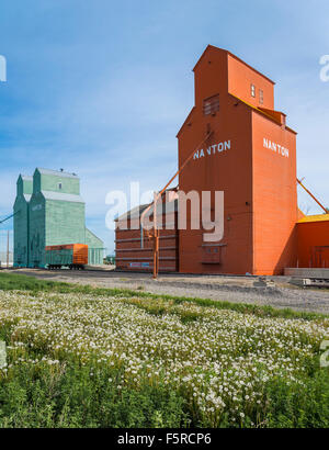 Les silos à grains du patrimoine, Nanton, Alberta, Canada Banque D'Images