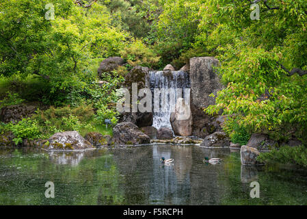 Cascade jardin japonais Nikka Yuko, Lethbridge (Alberta) Banque D'Images