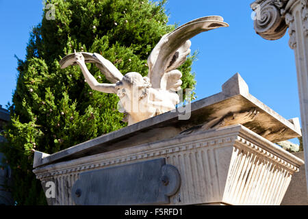 Le cimetière en Cimetière du Château de Nice, France Banque D'Images