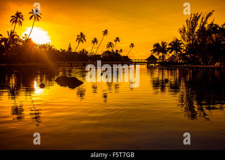 Coucher du soleil dans un paradis tropical avec des palmiers et de l'océan Banque D'Images