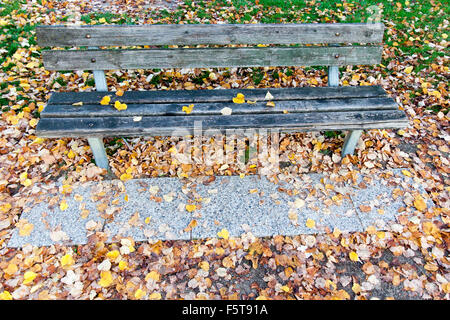 Un banc en bois, seul parmi les feuilles tombées Banque D'Images