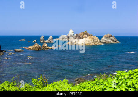 Anami Coast, au Japon. Beaucoup de lave et de roches pyroclastiques formées autour de 20 millions d'années peut être vu dans ce domaine. Banque D'Images