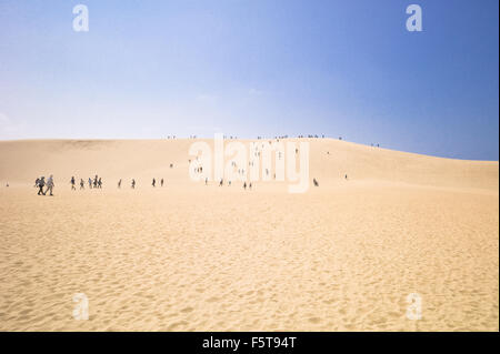 Les dunes de sable de Tottori - Japon Banque D'Images