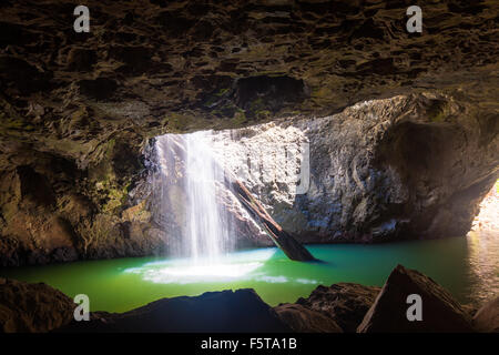 Le pont naturel cascade à Springbrook National Park dans le Queensland en Australie Banque D'Images