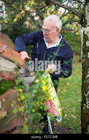 Monsieur âgé de nettoyer une gouttière de feuilles dans le Yorkshire du Nord Banque D'Images