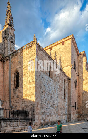 Vue partielle de la cathédrale. El Burgo de Osma, Soria, Espagne. Banque D'Images