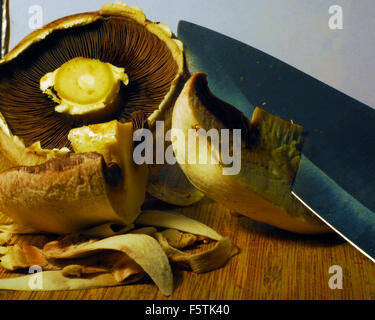 Les champignons, en quartiers,hachées,champignons,cuisine,cuisine,cook Banque D'Images