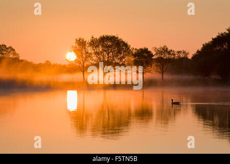Lever de soleil à l'aube brume sur Hickling large Banque D'Images