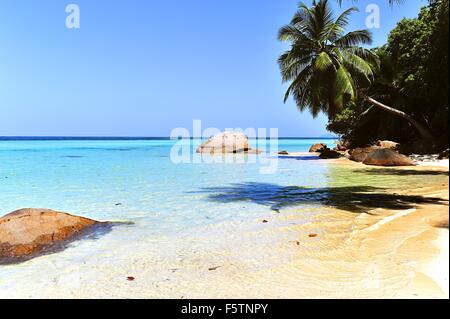 Plage de l'Anse à la mouche, Mahé, Seychelles Island Banque D'Images